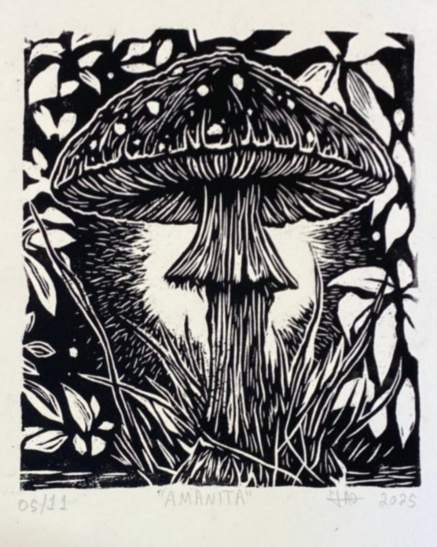 Amanita