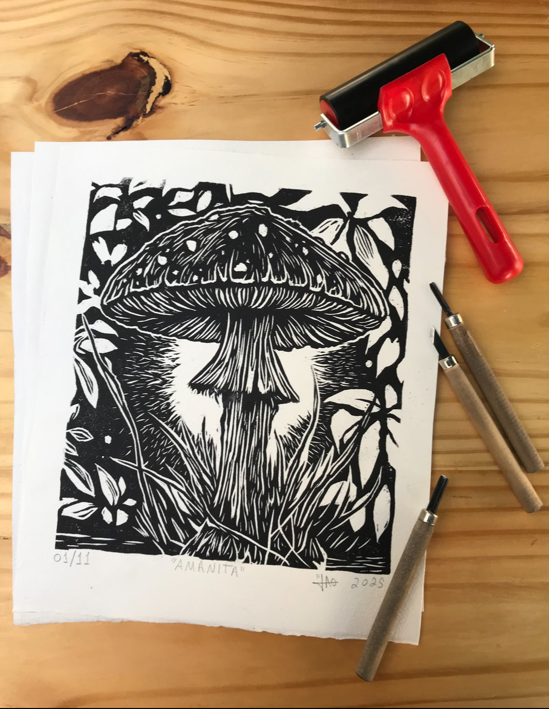 Amanita